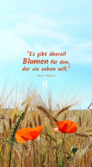 Hintergrundbild Handy Blumen